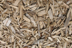 biomass boilers Balnain